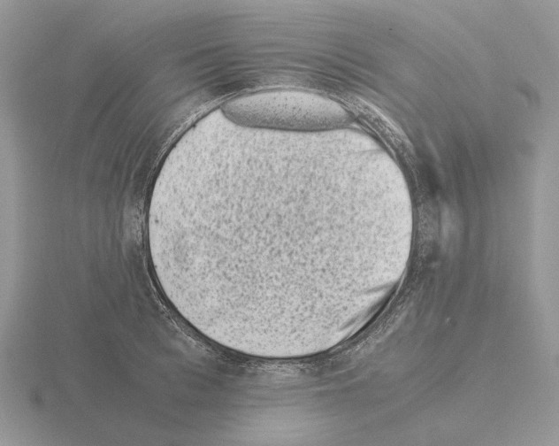 X0000115370993200912151415