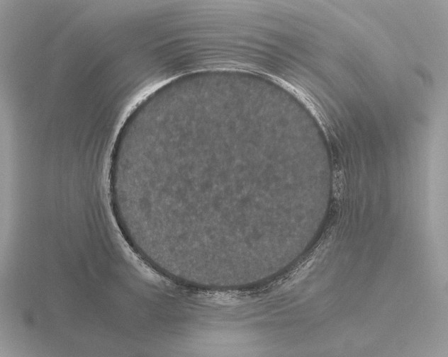 X0000115370995200912151415