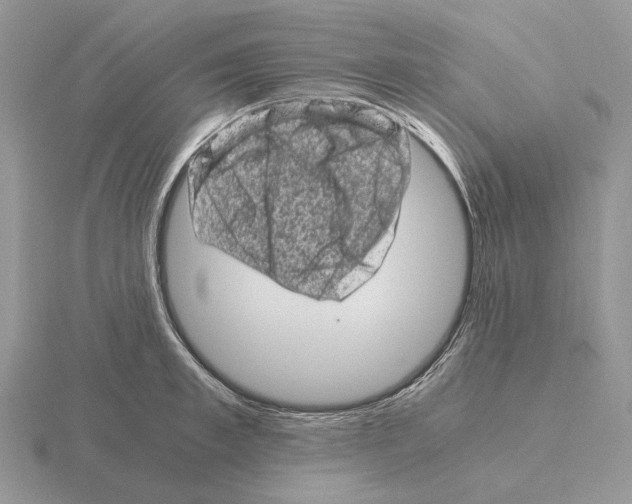 X0000115370997200912151415