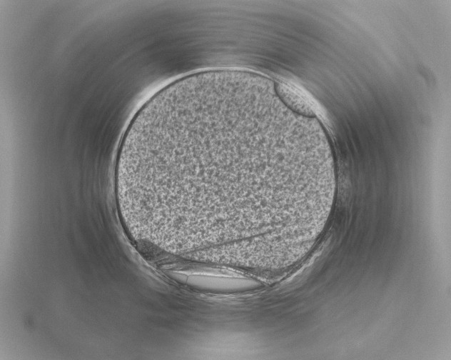 X0000115371004200912151415