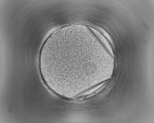 X0000115371005200912151415