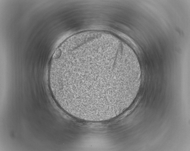 X0000115371006200912151415