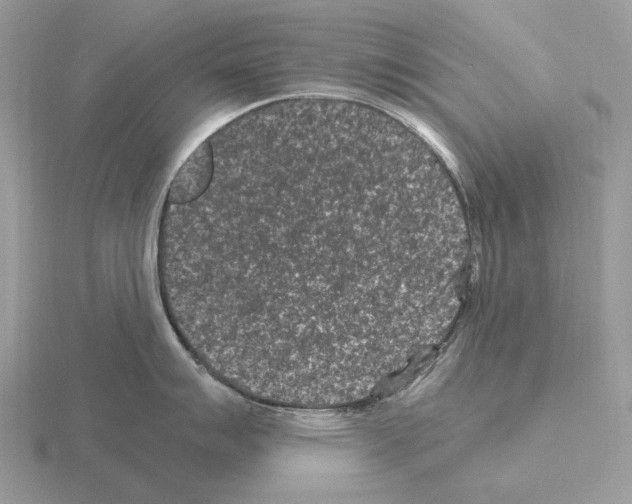 X0000115371007200912151415