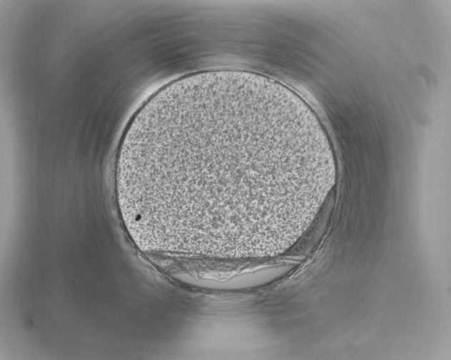 X0000115371008200912151415