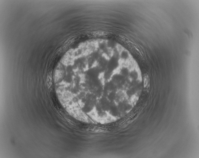 X0000115371011200912151414