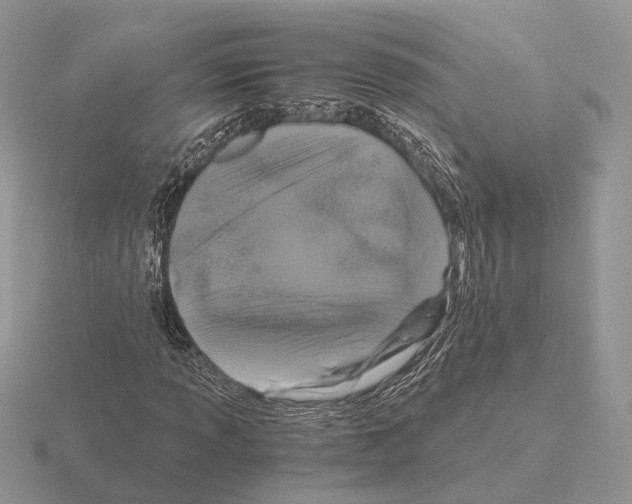 X0000115371013200912151414