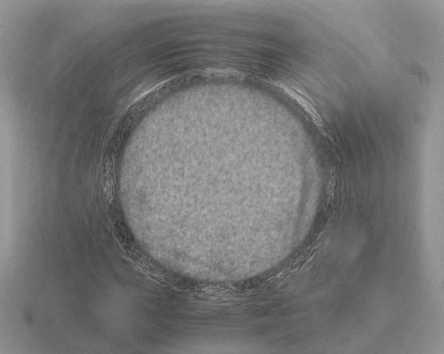 X0000115371015200912151414