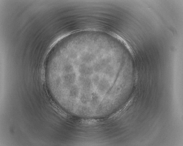 X0000115371019200912151414