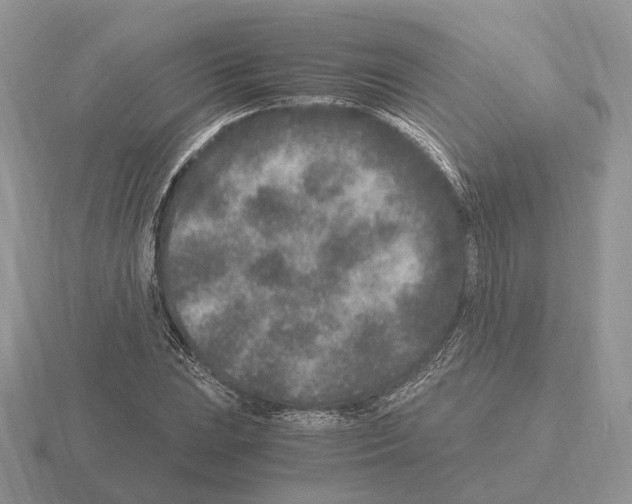 X0000115371023200912151414