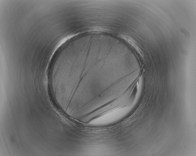 X0000115371024200912151414