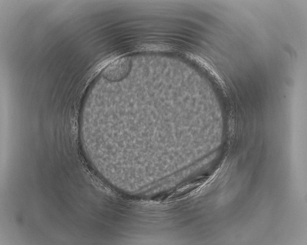 X0000115371025200912151414