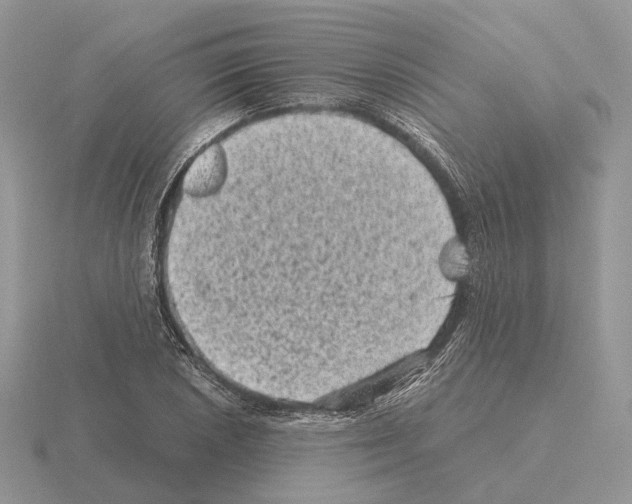 X0000115371026200912151414