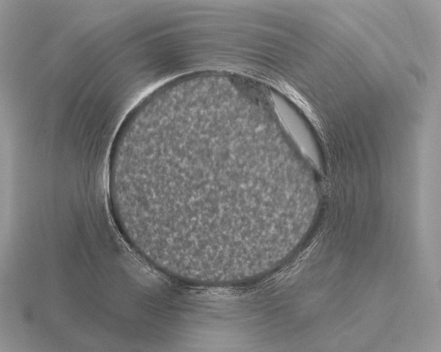 X0000115371028200912151414