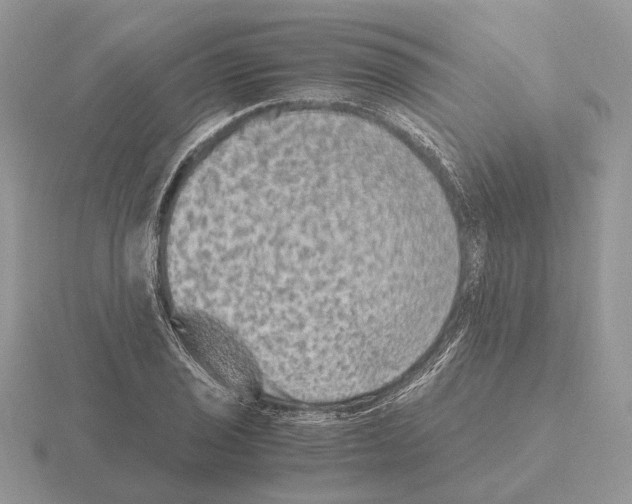 X0000115371029200912151415