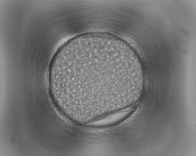 X0000115371030200912151415