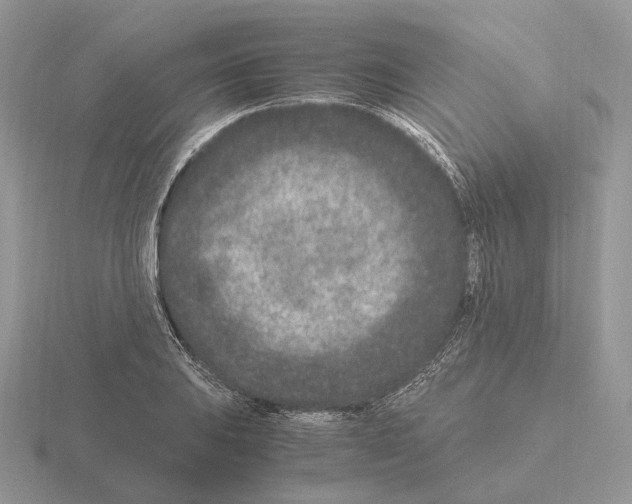 X0000115371031200912151415