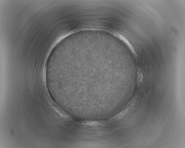 X0000115371035200912151415