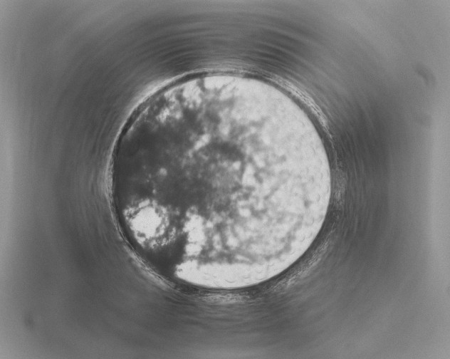 X0000115371037200912151415