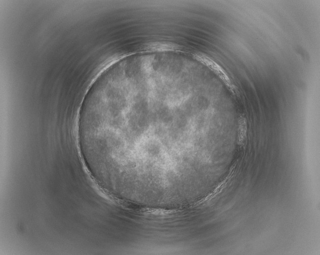 X0000115371039200912151415