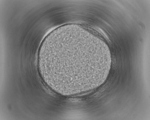 X0000115371044200912151415