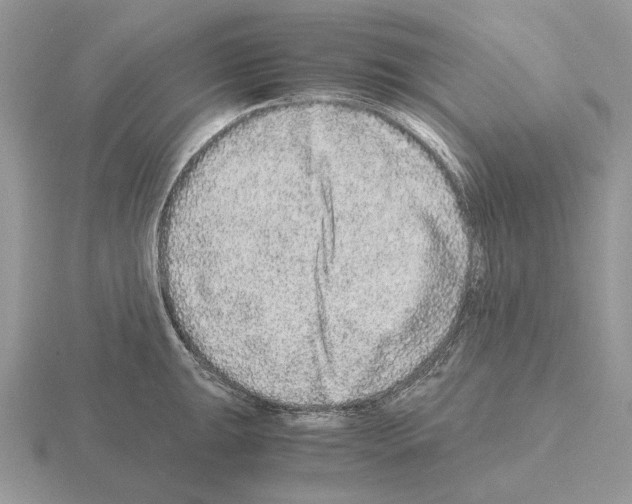 X0000115371047200912151415