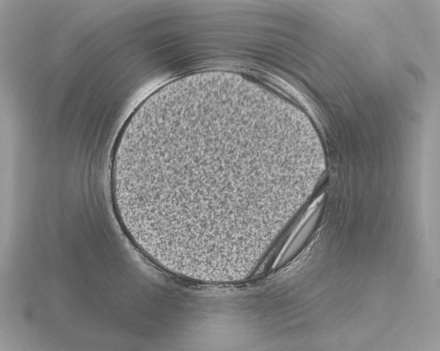 X0000115371050200912151415