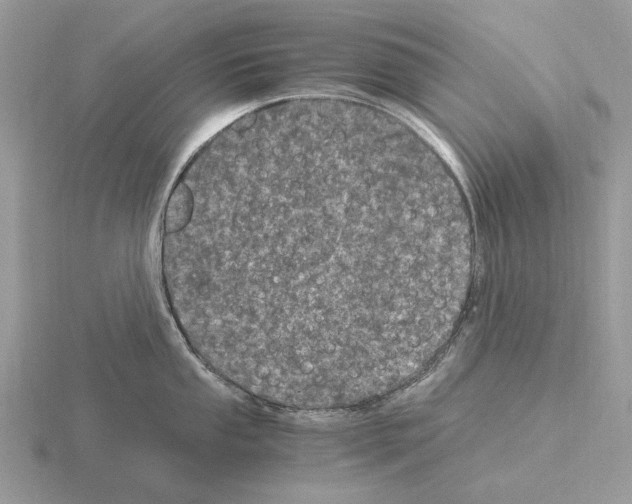 X0000115371053200912151415