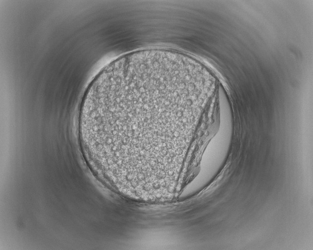 X0000115371054200912151415