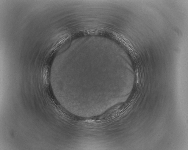 X0000115371060200912151414