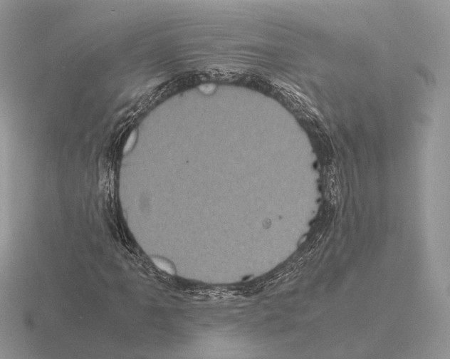 X0000115371061200912151414