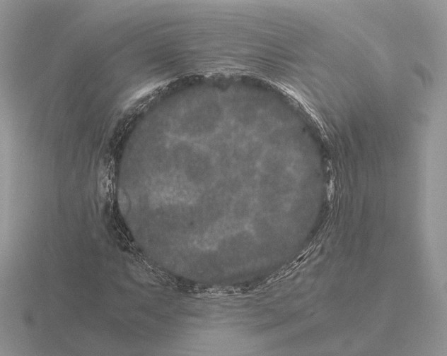 X0000115371063200912151414