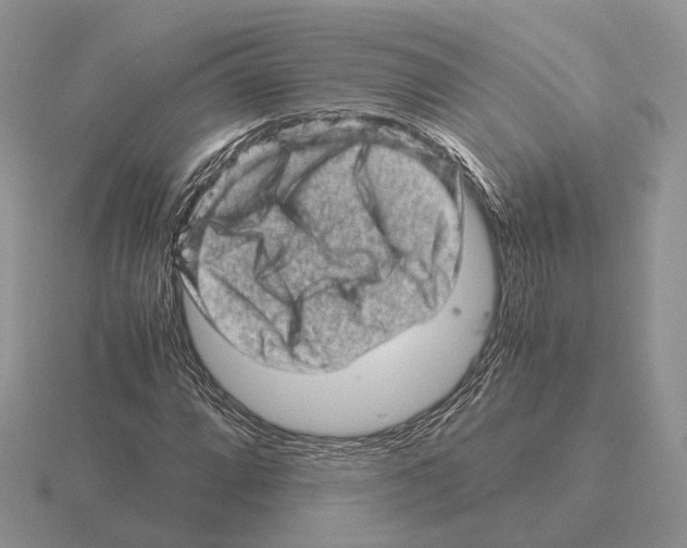 X0000115371064200912151414