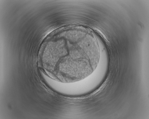 X0000115371065200912151414