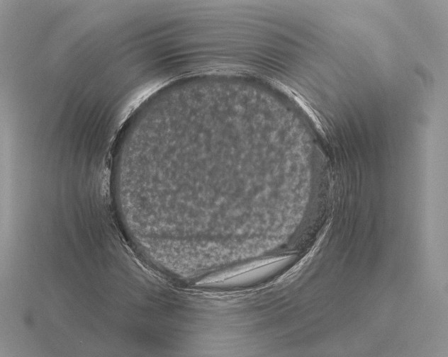 X0000115371066200912151414