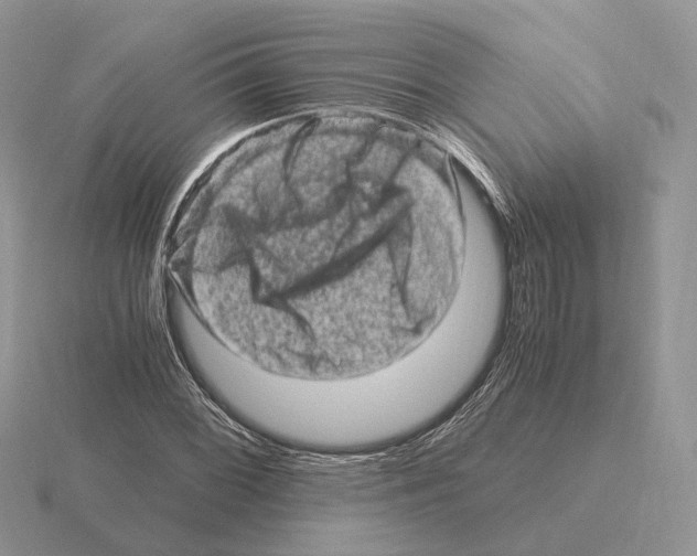 X0000115371068200912151414