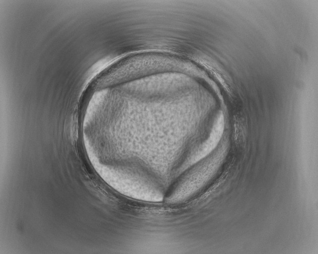 X0000115371069200912151414