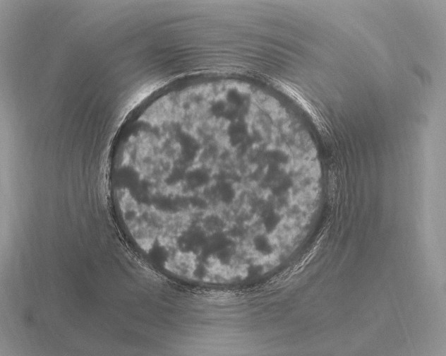 X0000115371071200912151414