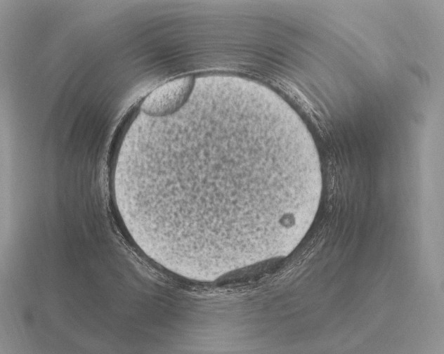 X0000115371072200912151414