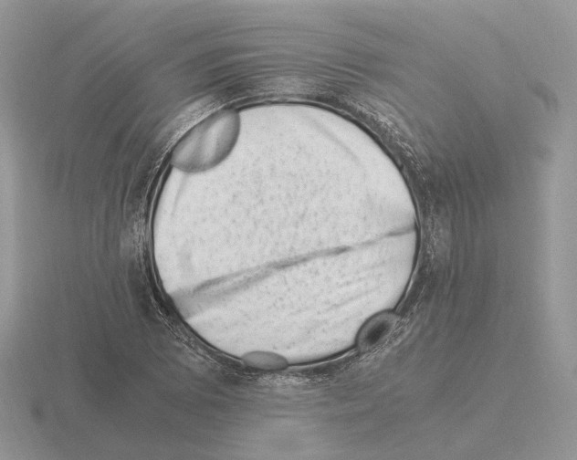 X0000115371073200912151414