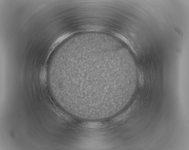 X0000115371074200912151414