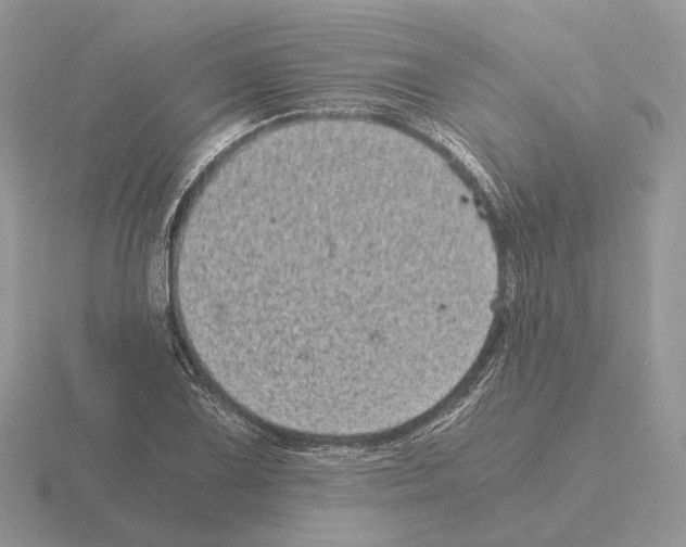 X0000115371075200912151414