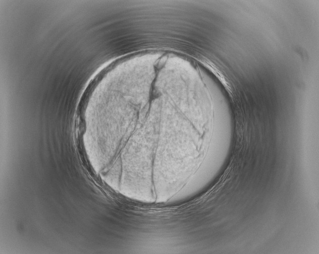 X0000115371076200912151414