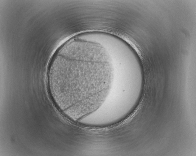 X0000115371077200912151414