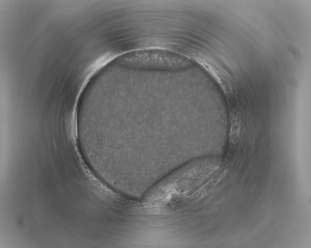 X0000115371080200912151414