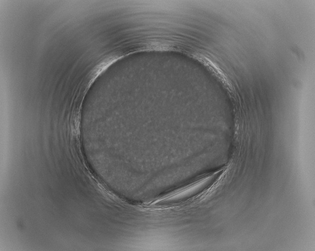 X0000115371081200912151414