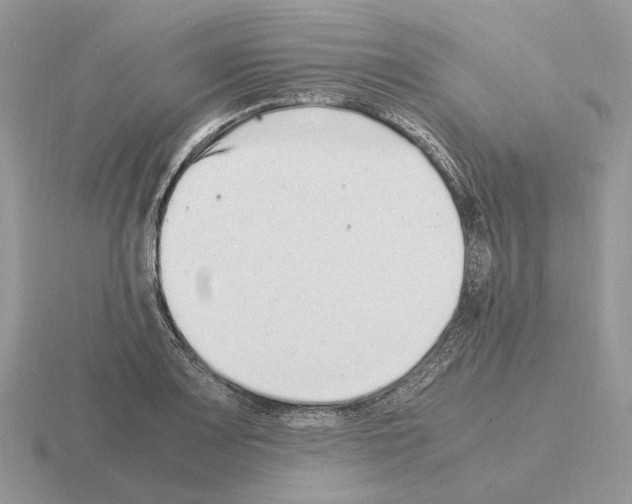 X0000115371083200912151414