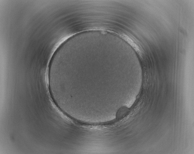 X0000115371084200912151414