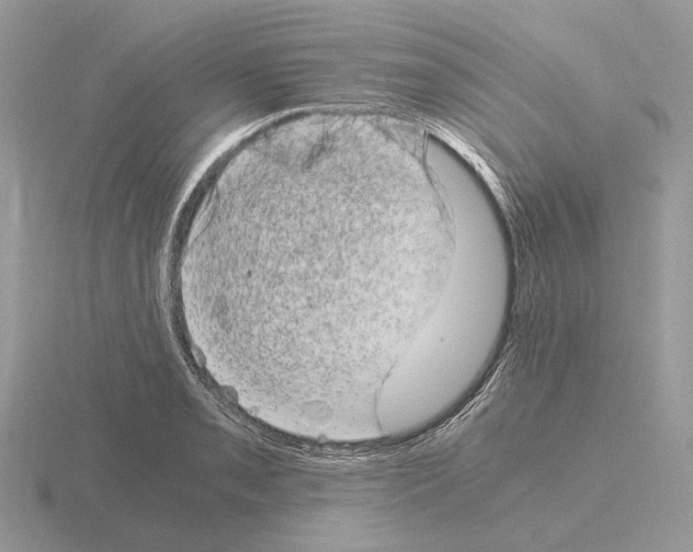 X0000115371085200912151414