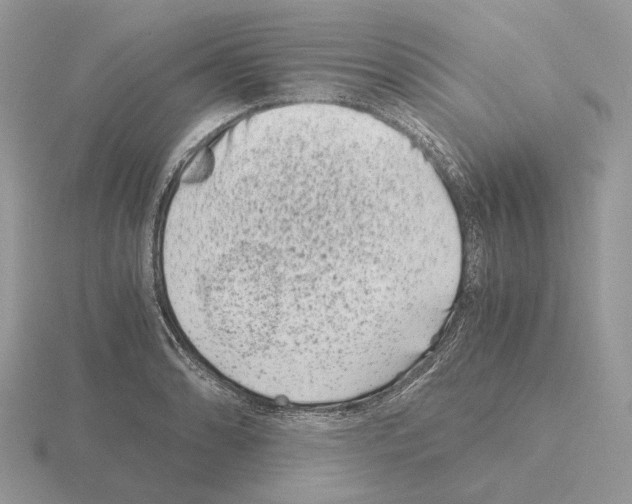 X0000115371086200912151414