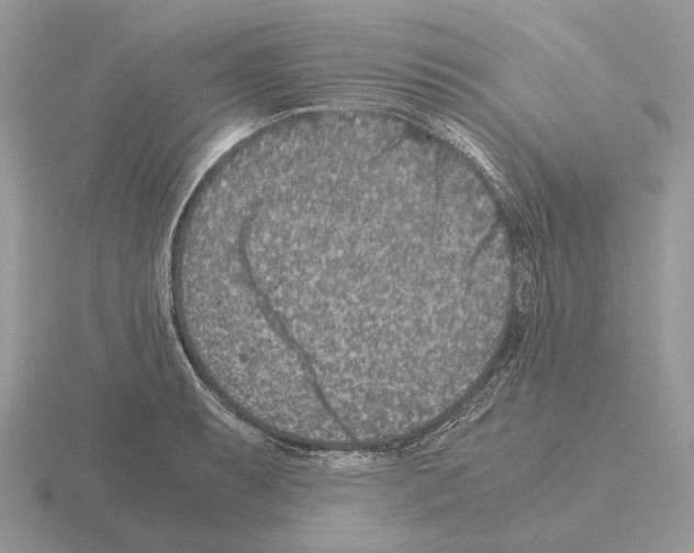 X0000115371087200912151414